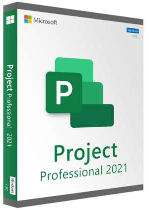 Microsoft Project Professional 2024 Windows