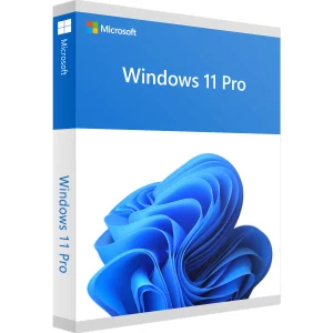Windows 11 Pro Retail